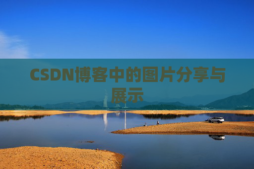 CSDN博客中的图片分享与展示